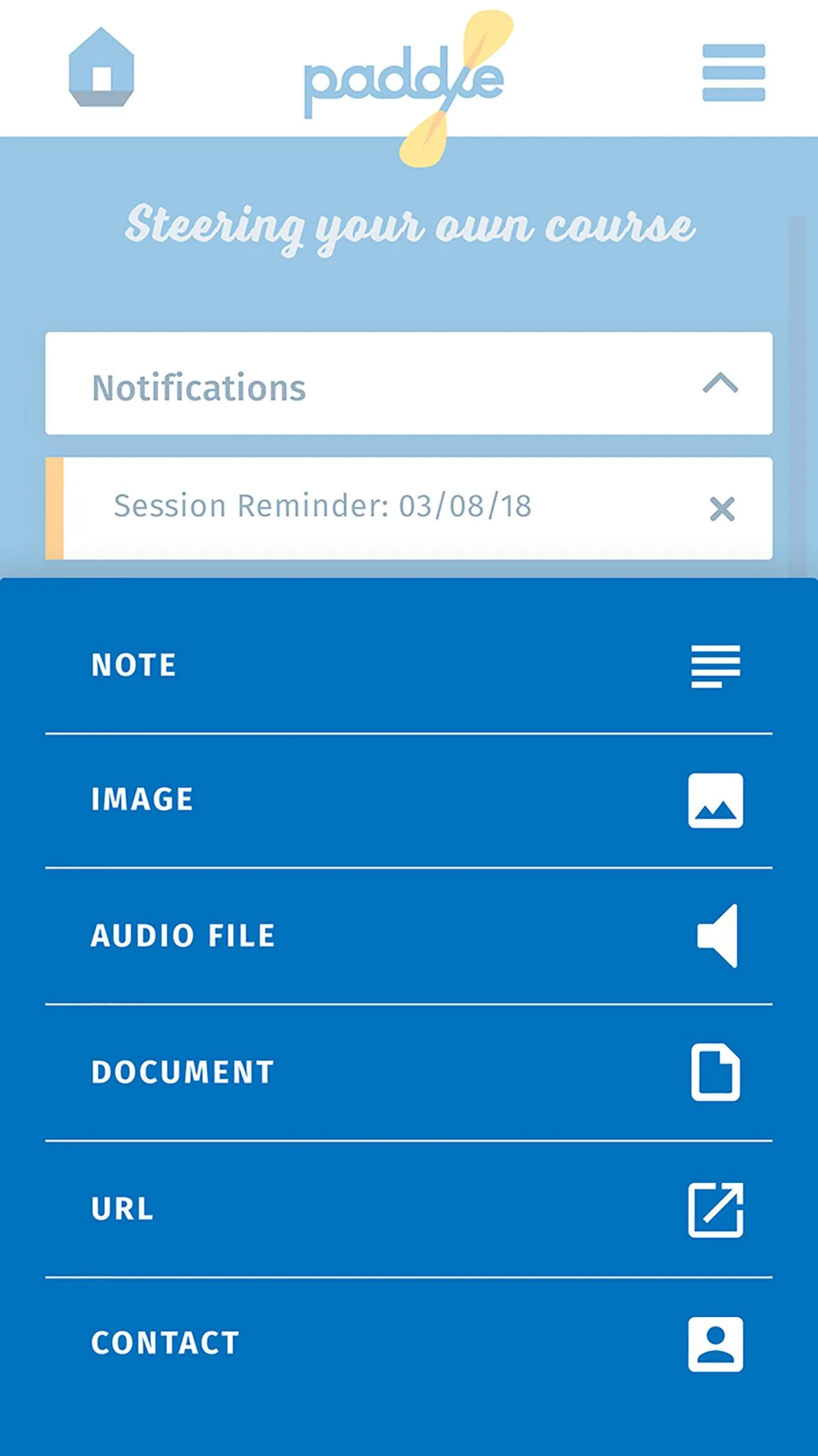 Paddle screenshot